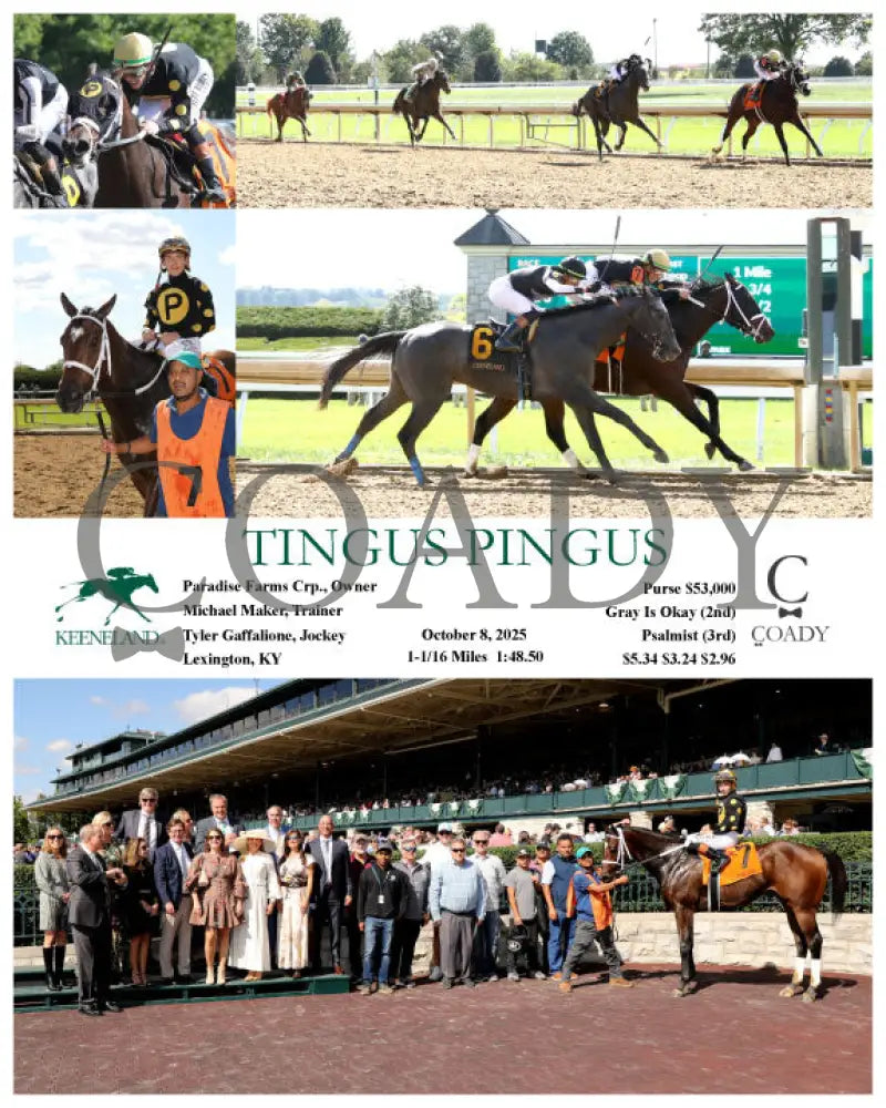 TINGUS PINGUS - 10-08-25 - R04 - KEE Keeneland