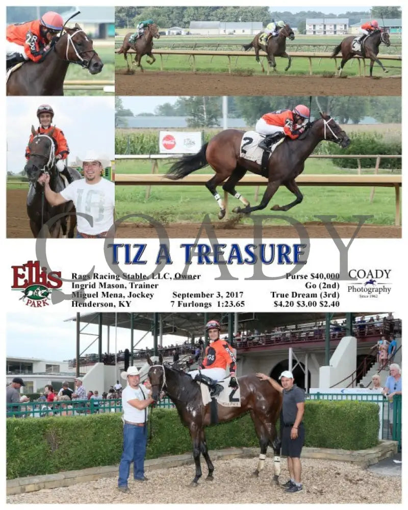 Tiz A Treasure - 090317 Race 08 Elp Ellis Park