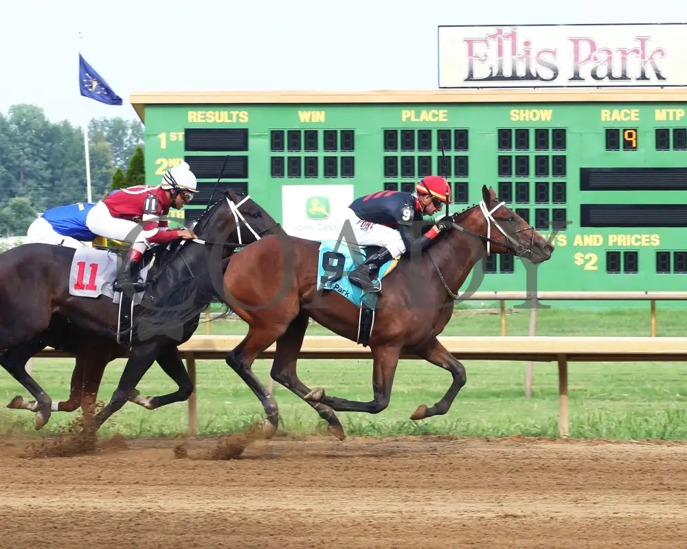 Tobacco Road - 081918 Race 09 Elp Finish 01 Ellis Park