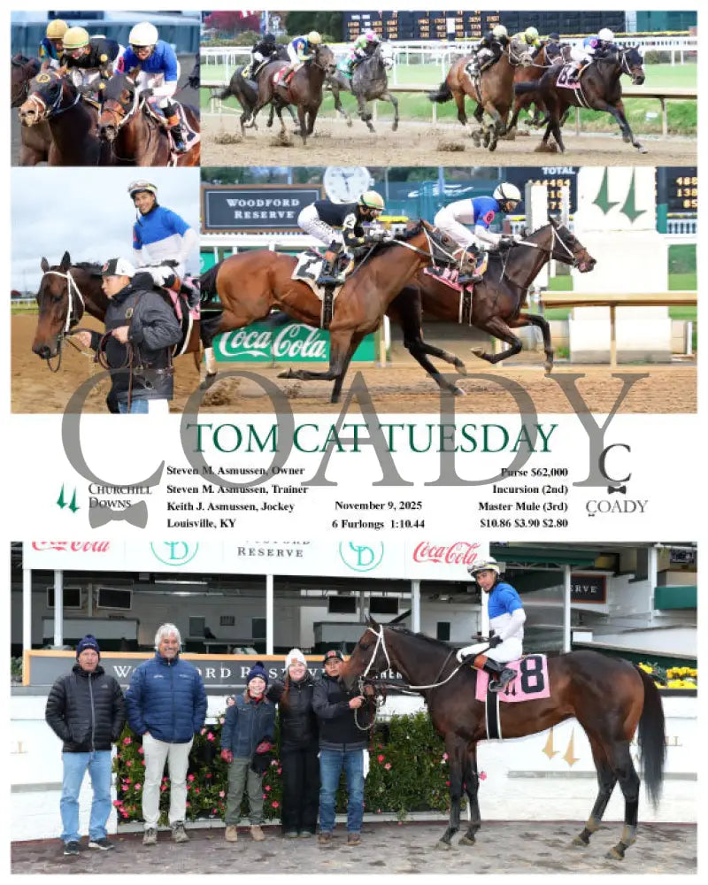 TOM CAT TUESDAY - 110925 - Race 09 - CD - Coady Media - Kurtis Coady Photography