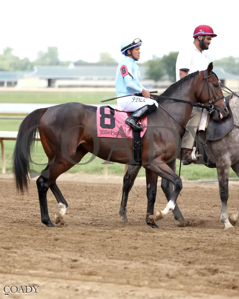 TOMASELLO - KY Downs Preview Nashville Derby - 08-02-25 - R08 - ELP - Post Parade 01 Ellis Park