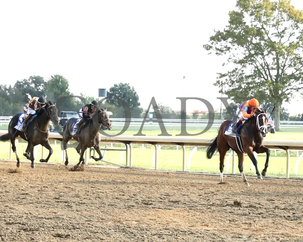 TOMMY JO - The Darley Alcibiades G1 - 10-03-25 - R09 - KEE - Finish 01 Keeneland