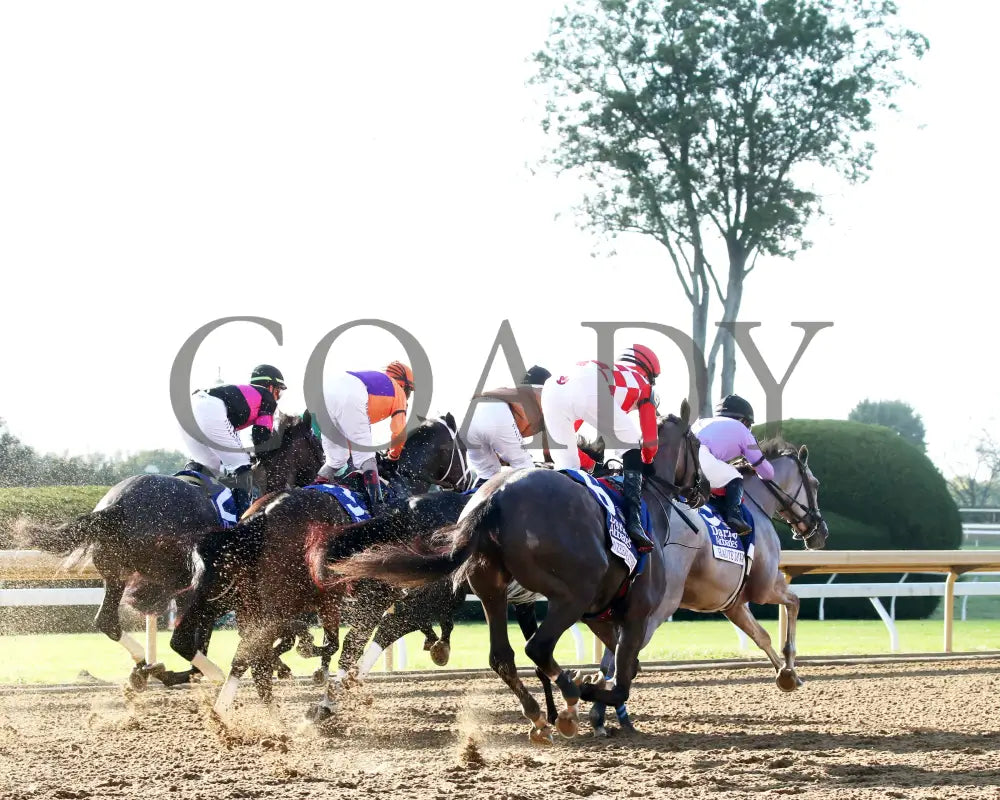 TOMMY JO - The Darley Alcibiades G1 - 10-03-25 - R09 - KEE - First Pass 01 Keeneland