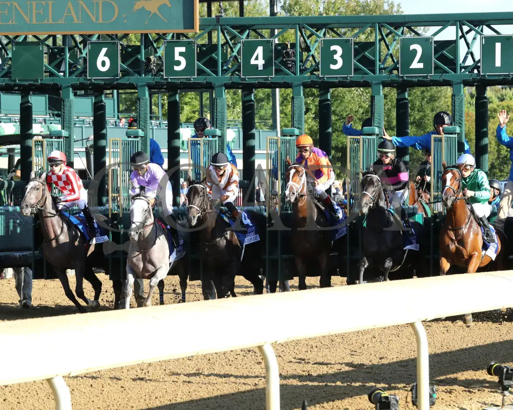 TOMMY JO - The Darley Alcibiades G1 - 10-03-25 - R09 - KEE - Start 02 Keeneland