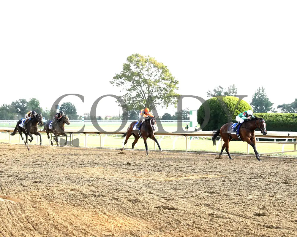 TOMMY JO - The Darley Alcibiades G1 - 10-03-25 - R09 - KEE - Up the Track 01 Keeneland