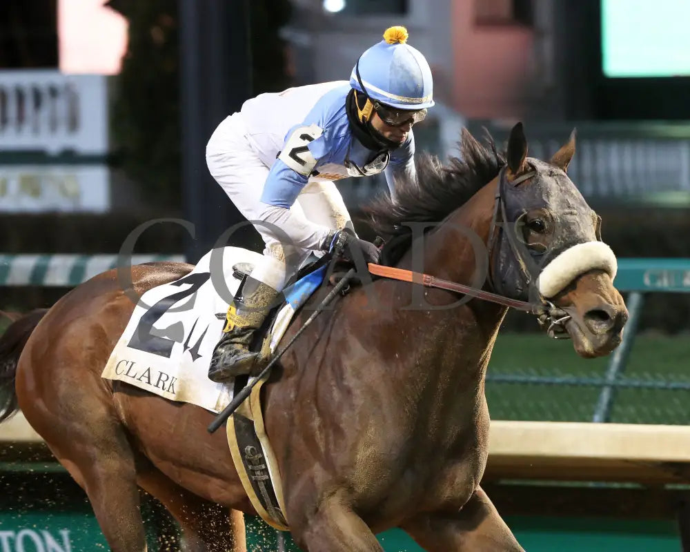 Tom’s D’etat - Clark G1 145Th Running 11-29-19 R11 Cd Finish 04 Churchill Downs