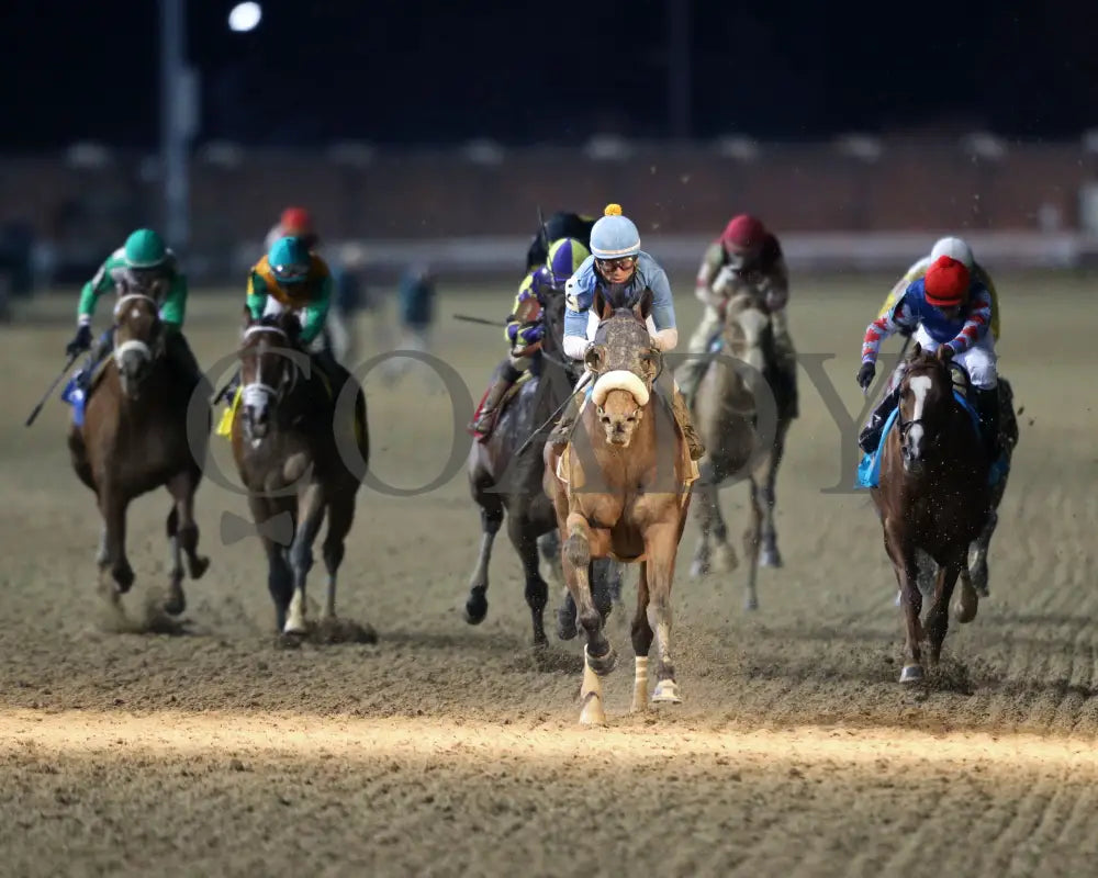 Tom’s D’etat - Clark G1 145Th Running 11-29-19 R11 Cd Head On 01 Churchill Downs