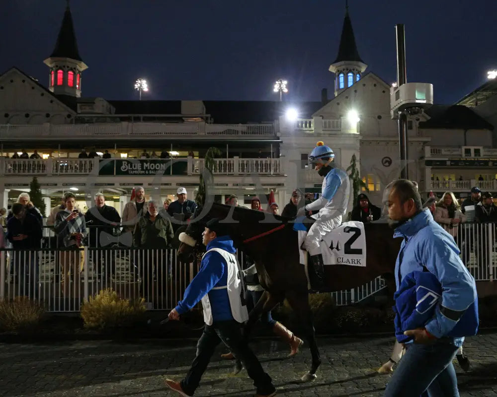 Tom’s D’etat - Clark G1 145Th Running 11-29-19 R11 Cd Paddock 01 Churchill Downs