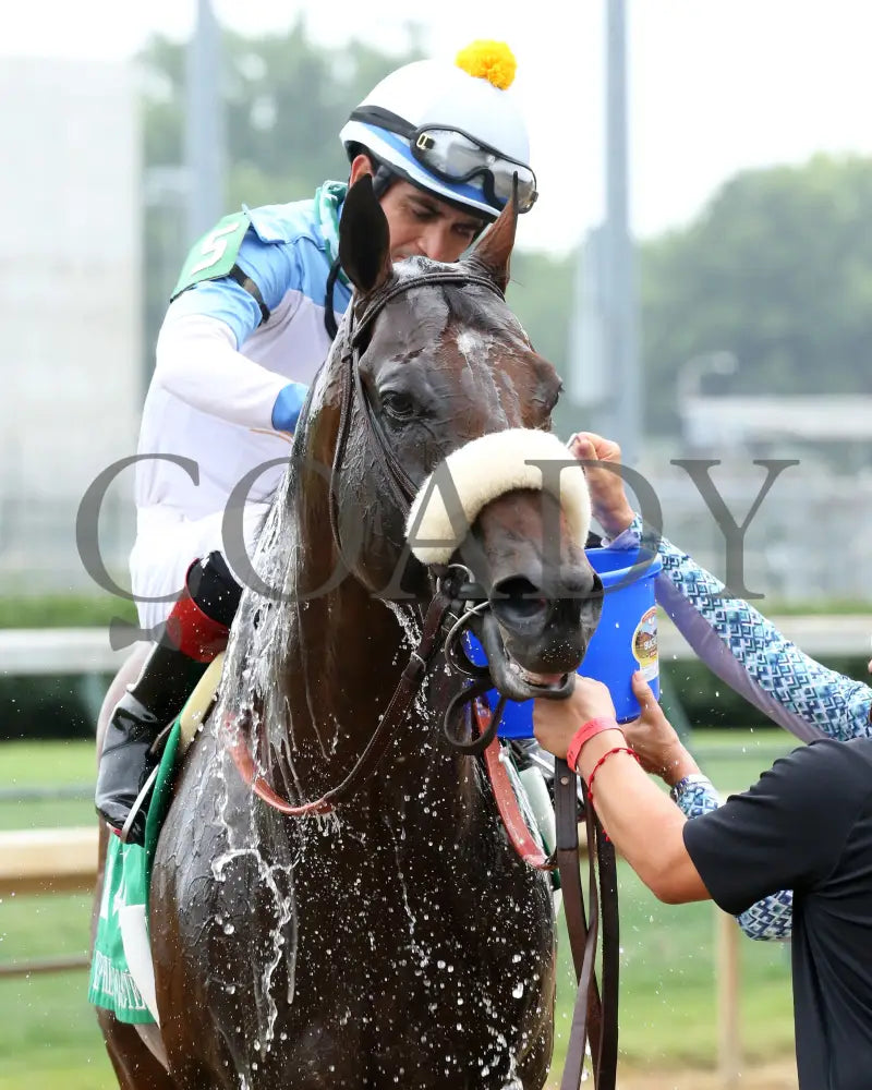 Tom’s D’etat - The Stephen Foster G2 39Th Running 06-27-20 R10 Cd Post Race 03 Churchill Downs