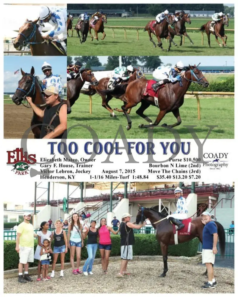 Too Cool For You - 080715 Race 08 Elp Ellis Park