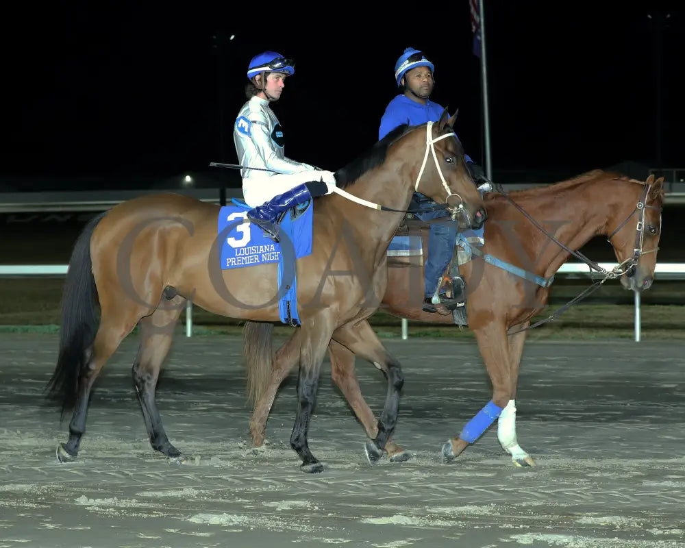 Touchuponastar - La Bred Premier Championship 02-03-24 R06 Delta Downs Post Parade
