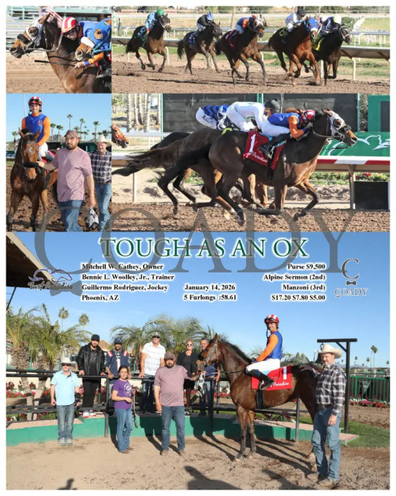 TOUGH AS AN OX - 01-14-26 - R06 - TUP - Coady Media - Kurtis Coady Photography
