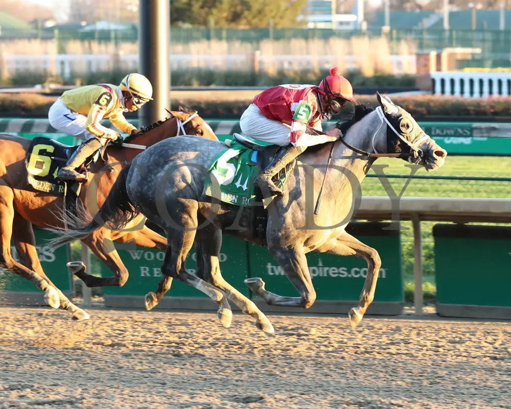Travel Column - The Golden Rod G2 77Th Running 11-28-20 R09 Cd Finish 01 Churchill Downs