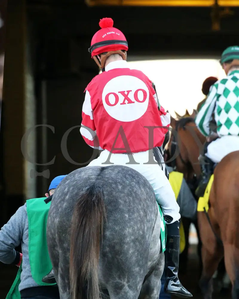 Travel Column - The Golden Rod G2 77Th Running 11-28-20 R09 Cd Paddock 02 Churchill Downs