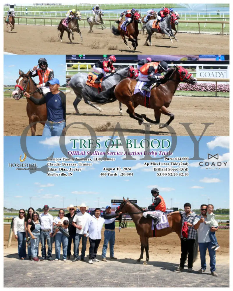 Tres Of Blood - Qhrai Stallion Service Auction Derby Trials 08-10-24 R09 Ind Indiana Grand