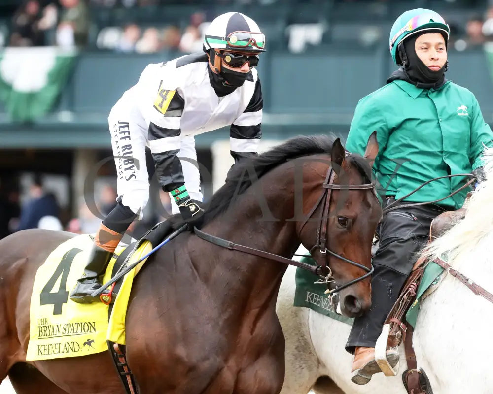 TROUBLESHOOTING - 102525 - Race 08 - KEE - Post Parade 02 Keeneland