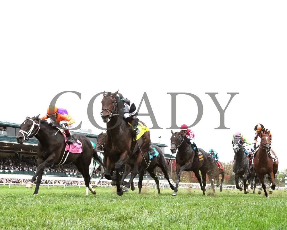 TROUBLESHOOTING - 102525 - Race 08 - KEE - Under Rail 01 Keeneland