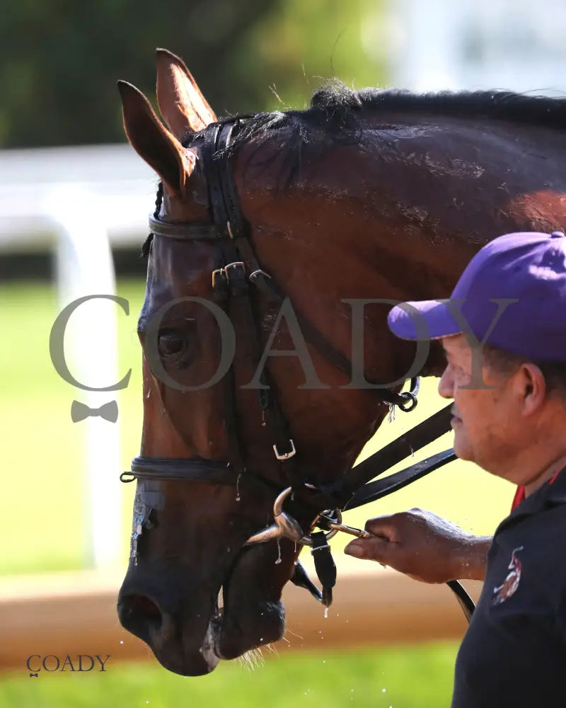 TUMBARUMBA - The Ack Ack G3 - 33rd Running - 09-27-25 - R08 - CD - Come Back 02 Churchill Downs