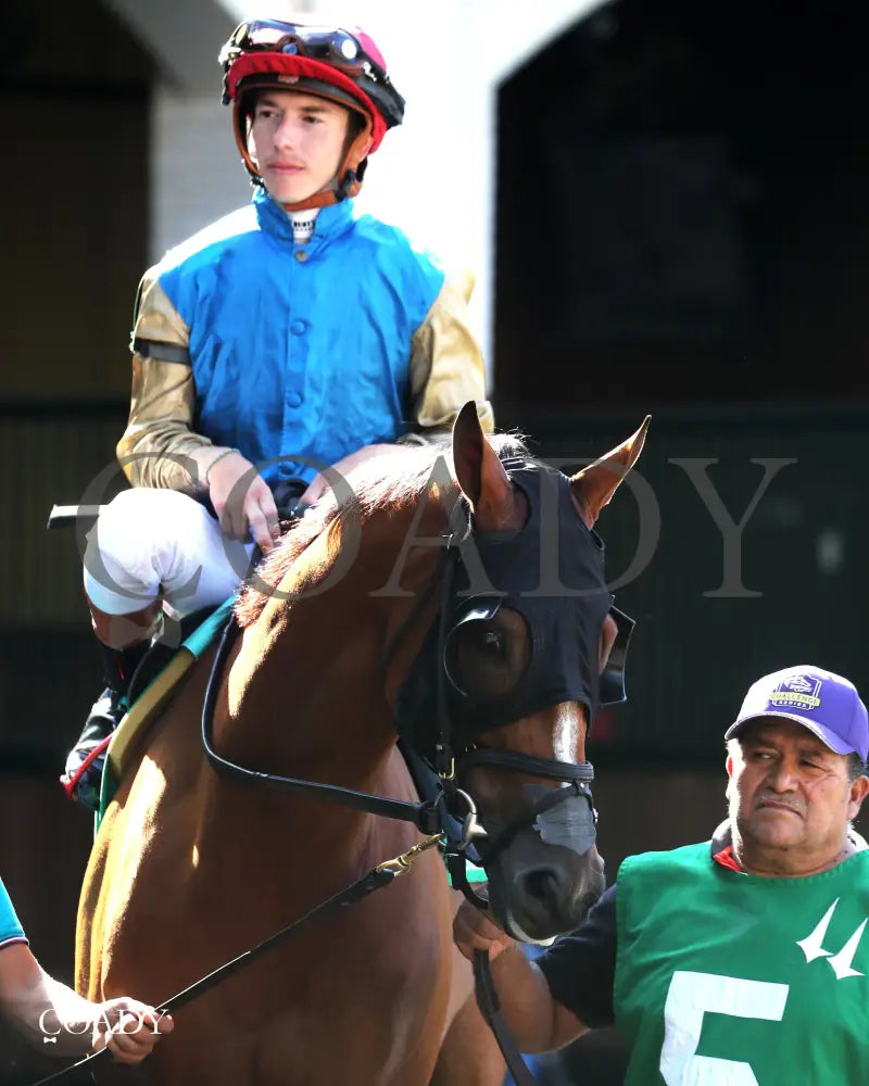 TUMBARUMBA - The Ack Ack G3 - 33rd Running - 09-27-25 - R08 - CD - Paddock 02 - Coady Media - Kurtis Coady Photography