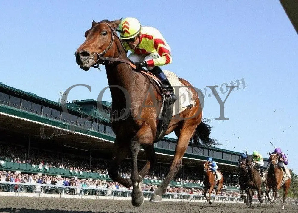 Turbulent Descent - Under Rail The 26Th Running Keeneland