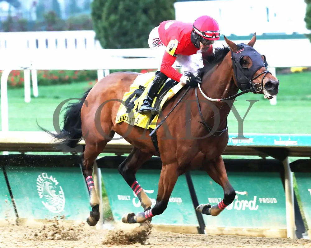 Two Sharp - 112324 Race 08 Cd Finish 02 Churchill Downs
