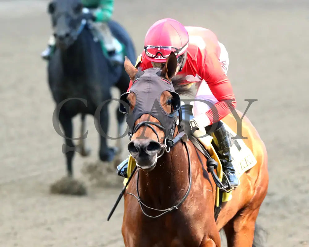 Two Sharp - 112324 Race 08 Cd Inside Finish 01 Churchill Downs