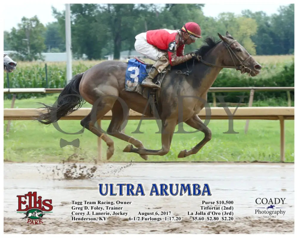 Ultra Arumba - 080617 Race 02 Elp A Ellis Park