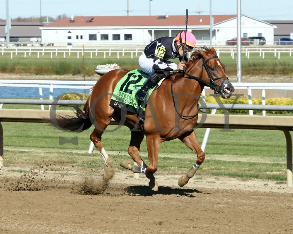 Unbridled Slope - Unreachable Star 5Th Running 10-26-24 R07 Horseshoe Indiana Finish 02 Devin Hall
