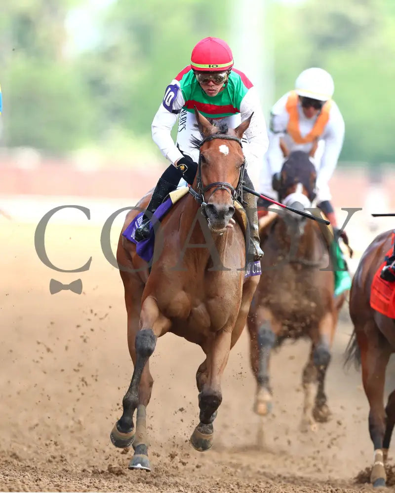 Vahva - The Derby City Distaff G1 05-04-24 R06 Churchill Downs Head On 02 Lauren Givhan