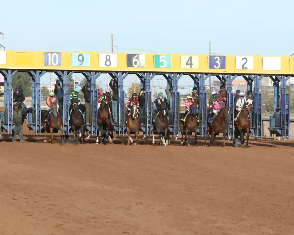 Valence - Zia Park Oaks 11-26-24 R09 Starting Gate
