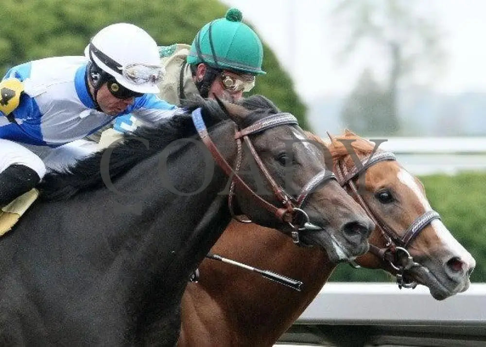 Vee One Rotate - 4 102011 Race 04 Keeneland