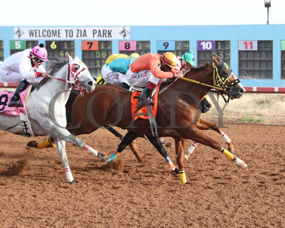 Vegas Trick - Hobbs America Derby Invitational Stakes 12-15-24 R10 Zia Park Finish