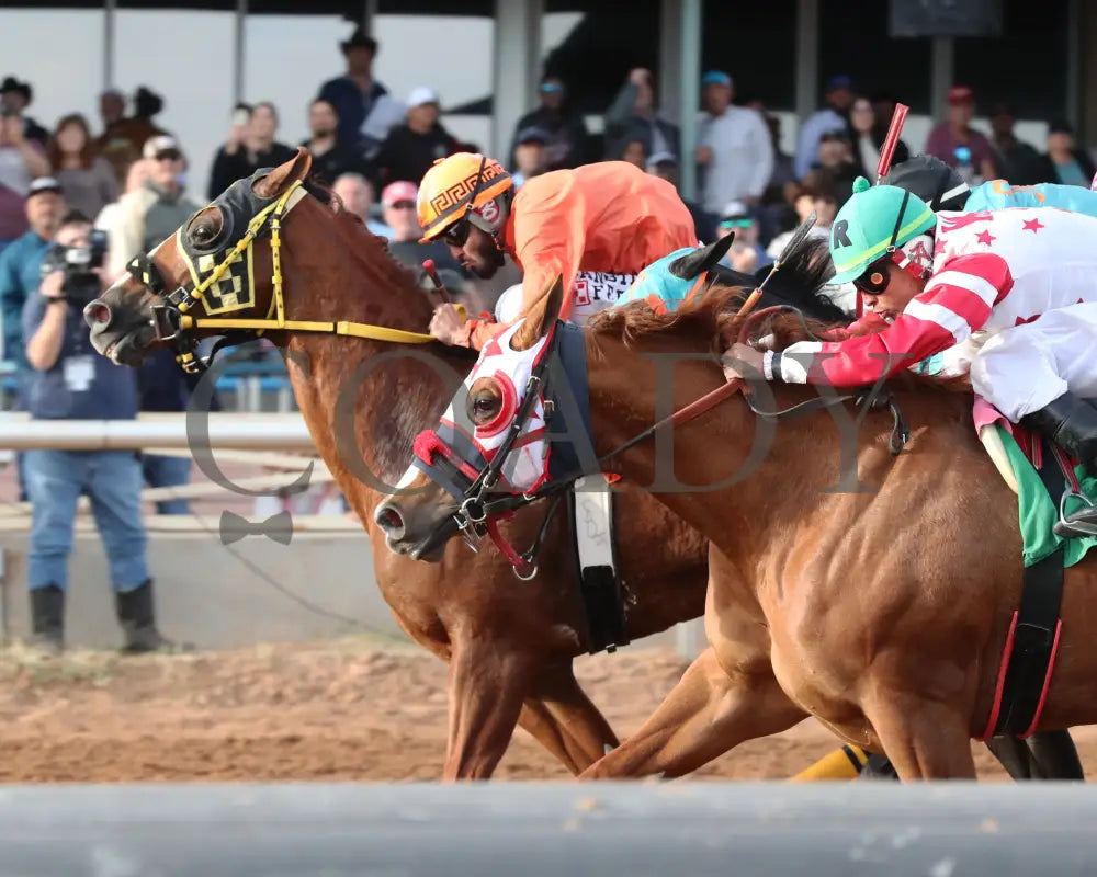 Vegas Trick - Hobbs America Derby Invitational Stakes 12-15-24 R10 Zia Park Inside Finish 2