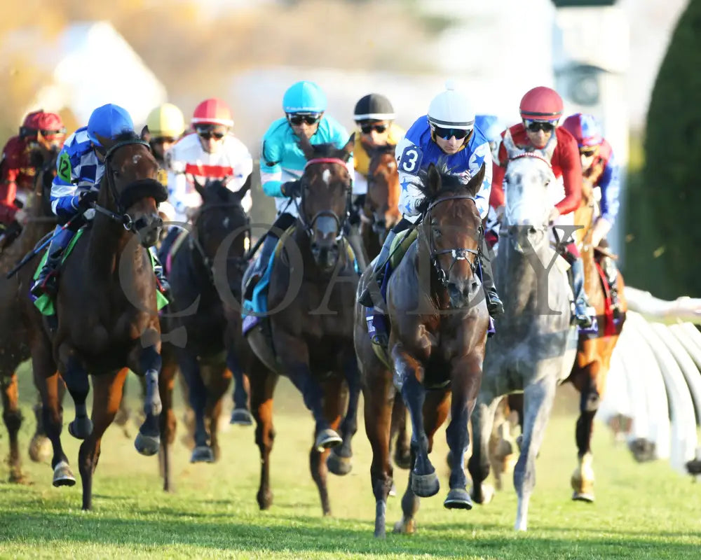 Victoria Road - Breeders’ Cup Juvenile Turf G1 16Th Running 11-04-22 R10 Kee First Turn 01 Keeneland