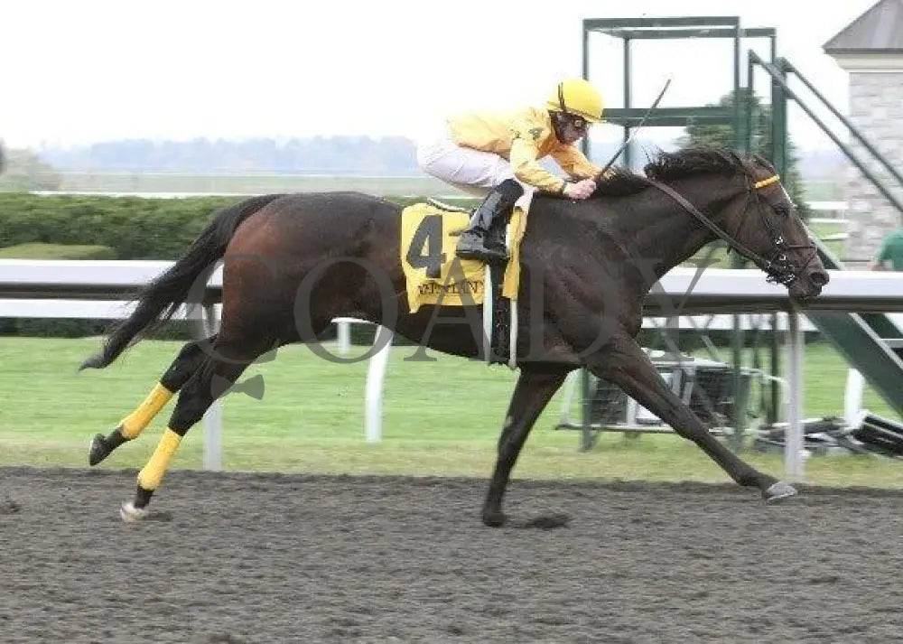 Vivere - 1 101211 Race 03 Keeneland