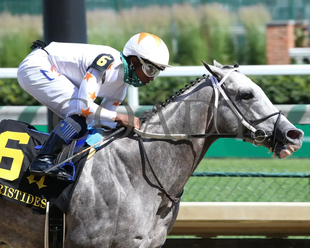 Volatile - Aristides 32Nd Running 06-06-20 R08 Cd Tight Finish 01 Churchill Downs