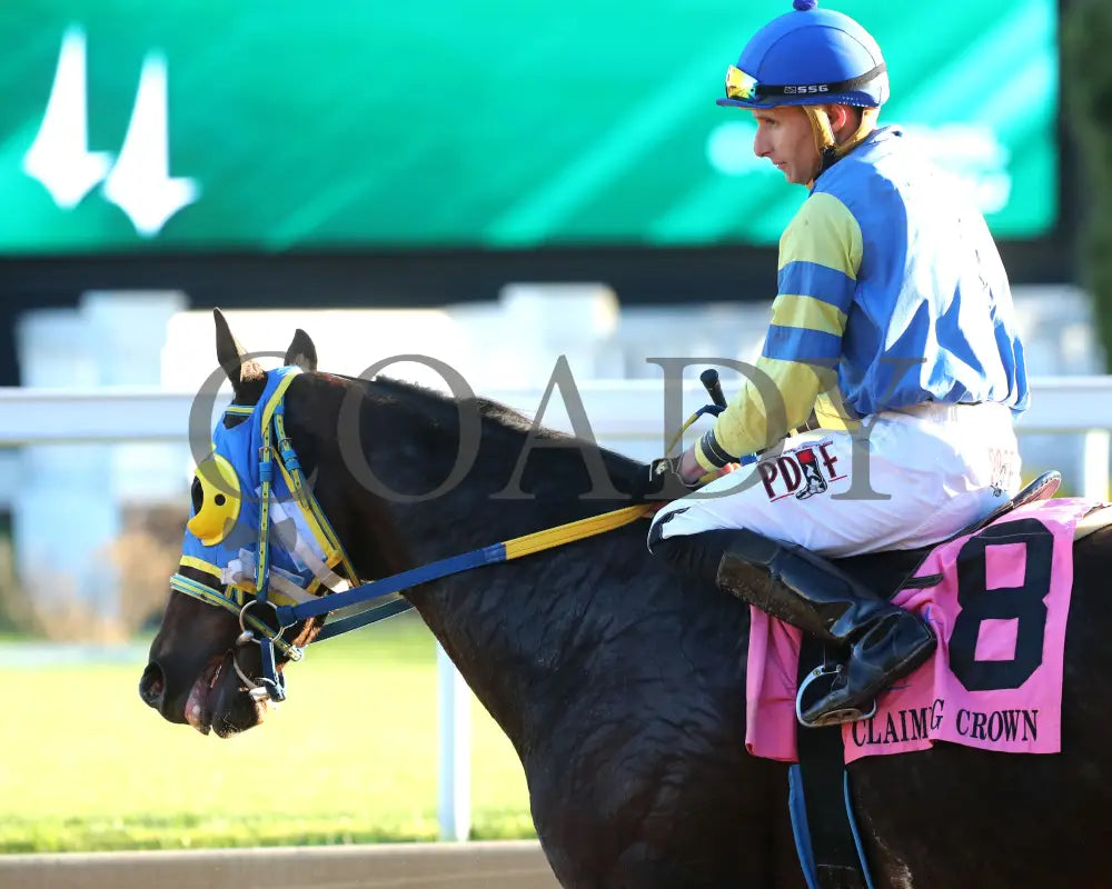 Voodoo Zip - The Canterbury Claiming Crown #6 11-16-24 R08 Cd Come Back 03 Churchill Downs
