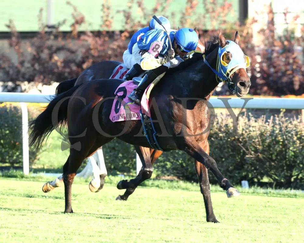 Voodoo Zip - The Canterbury Claiming Crown #6 11-16-24 R08 Cd Finish 02 Churchill Downs