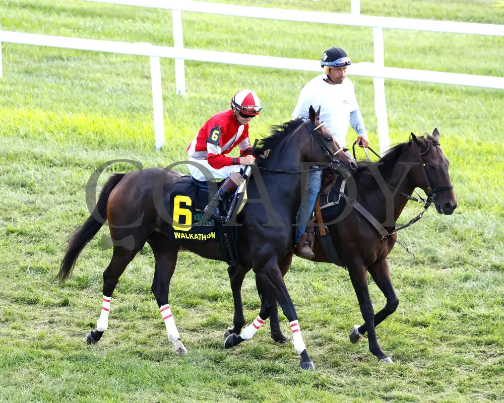 Walkathon - The Kentucky Downs Ladies Turf G3 08-31-24 R10 Kd Post Parade 01