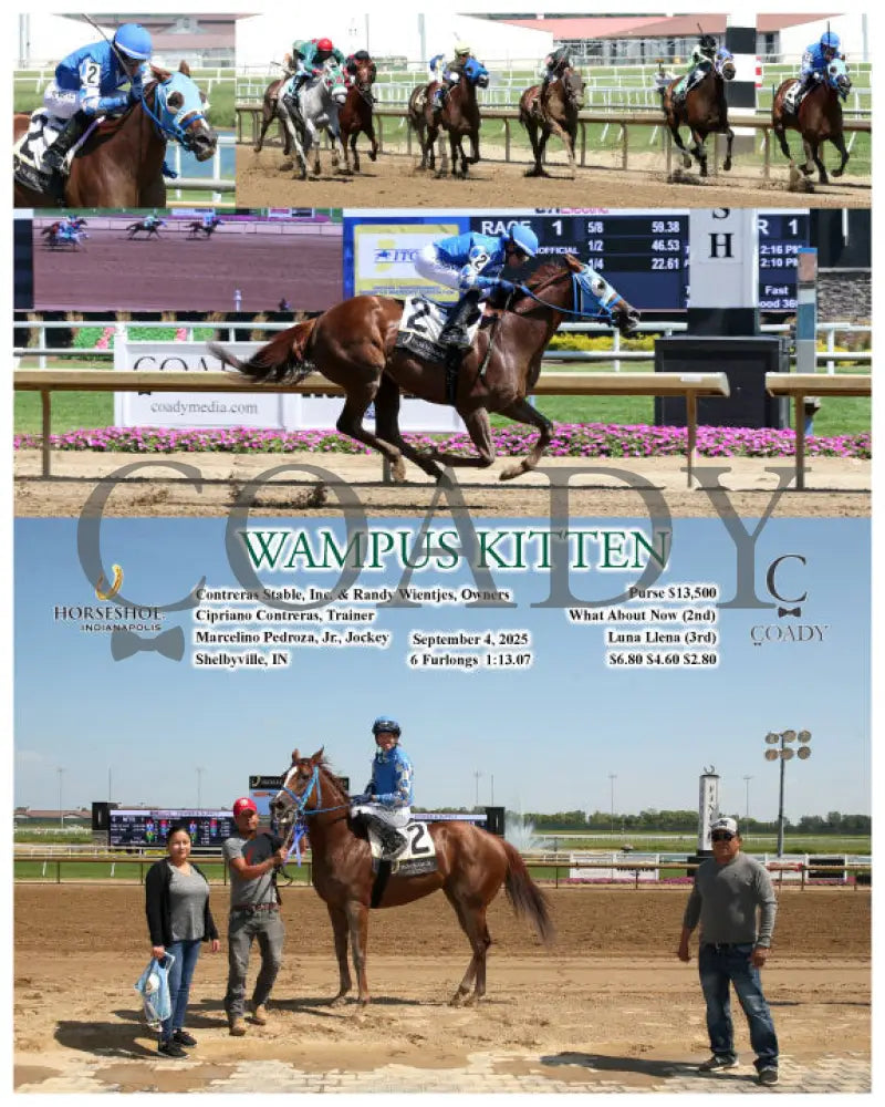 WAMPUS KITTEN 09 04 25 R01 IND Indiana Grand