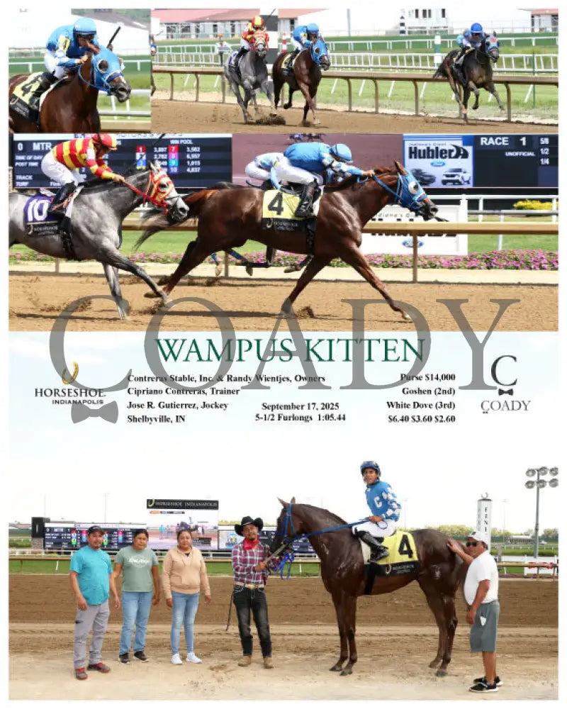 WAMPUS KITTEN - 09-17-25 - R01 - IND Indiana Grand
