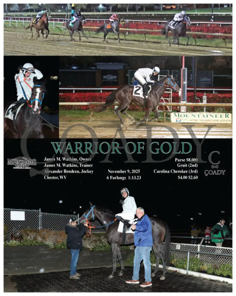 WARRIOR OF GOLD - 11-09-25 - R02 - MNR - Coady Media - Kurtis Coady Photography