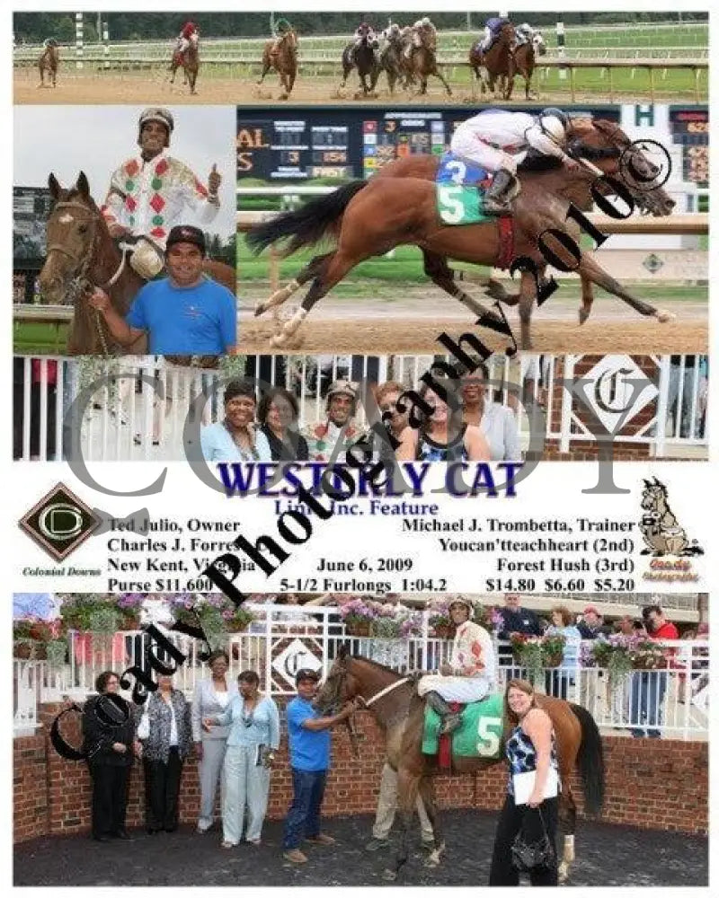 Westerly Cat - Links Inc. Feature 6 2009 Colonial Downs