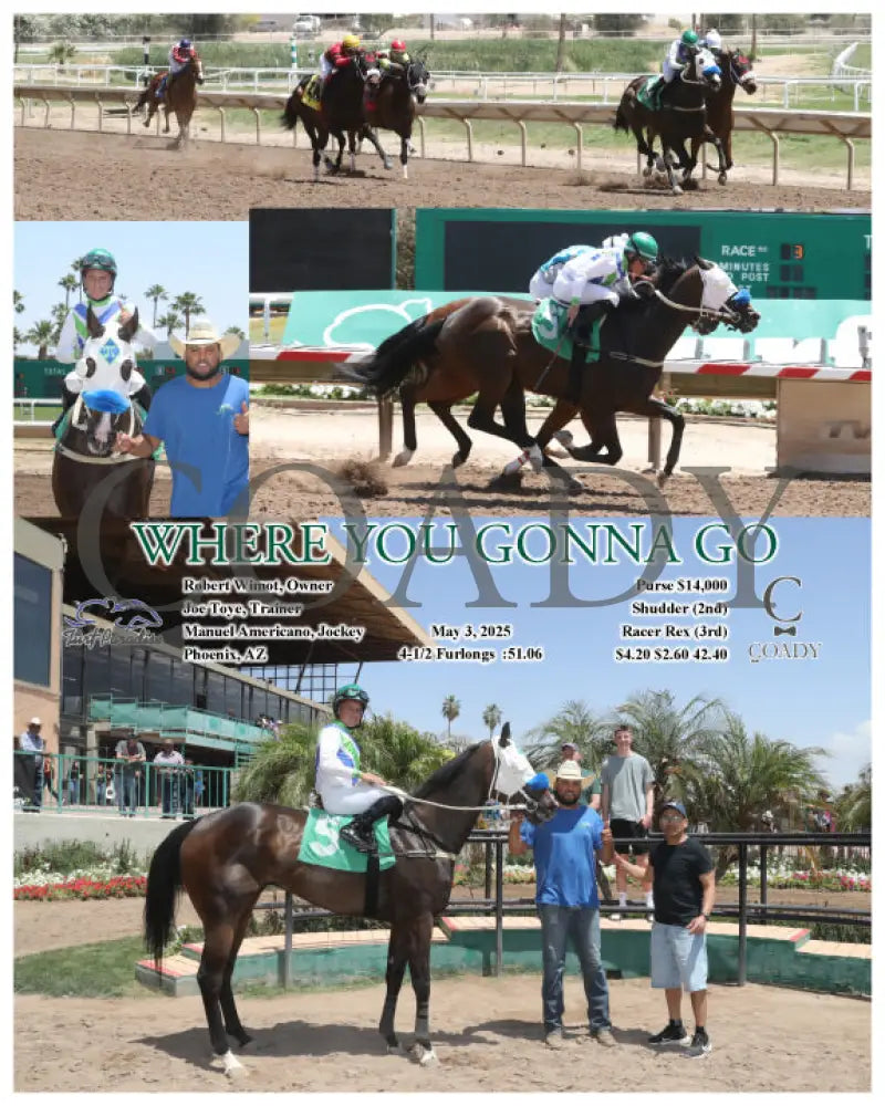 WHERE YOU GONNA GO - 05-03-25 - R03 - TUP Turf Paradise