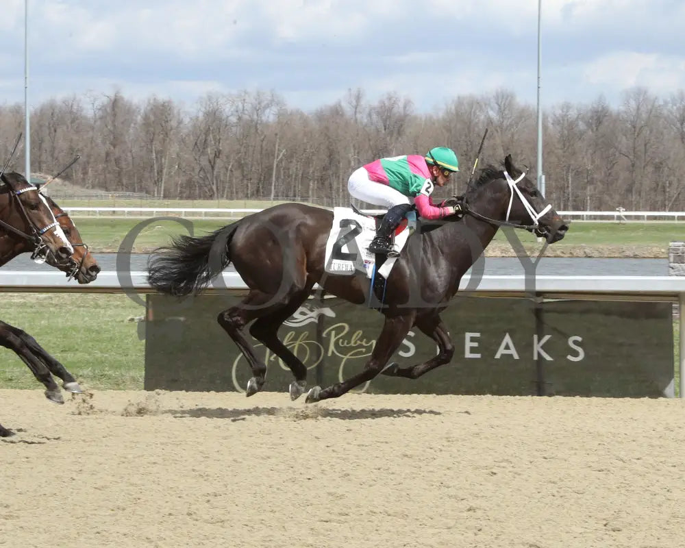 WHIPPOORWILL - 03-22-25 - R02 - TP Turfway Park