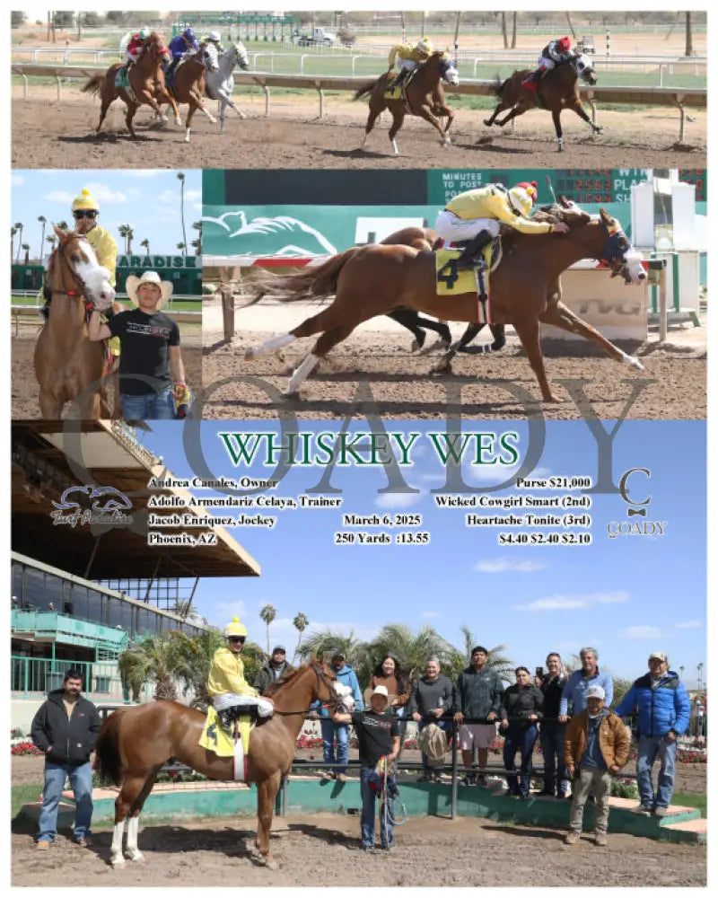 WHISKEY WES - 03-06-25 - R01 - TUP Turf Paradise