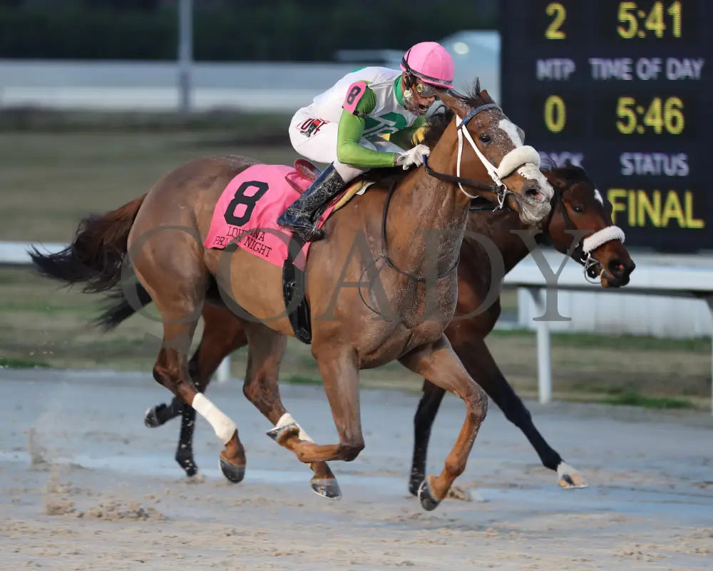 Wholelottamo - The 21St Running Of The La Bred Premier Distaff 02-03-24 R02 Delta Downs Finish