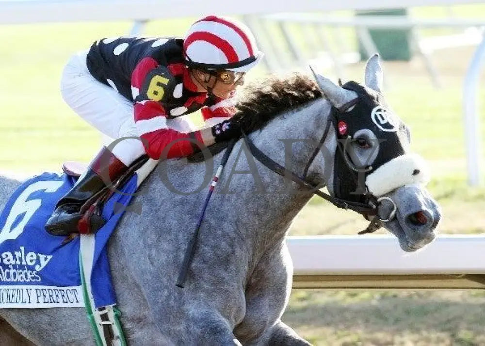 Wickedly Perfect - Darley Alcibiades Keeneland