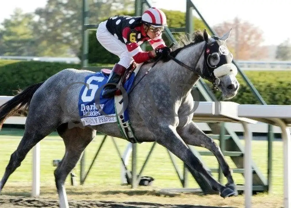 Wickedly Perfect - Darley Alcibiades Keeneland