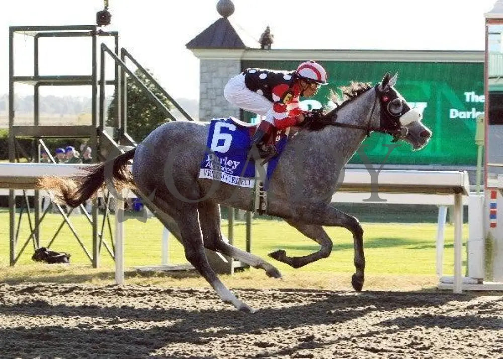 Wickedly Perfect - Darley Alcibiades Keeneland